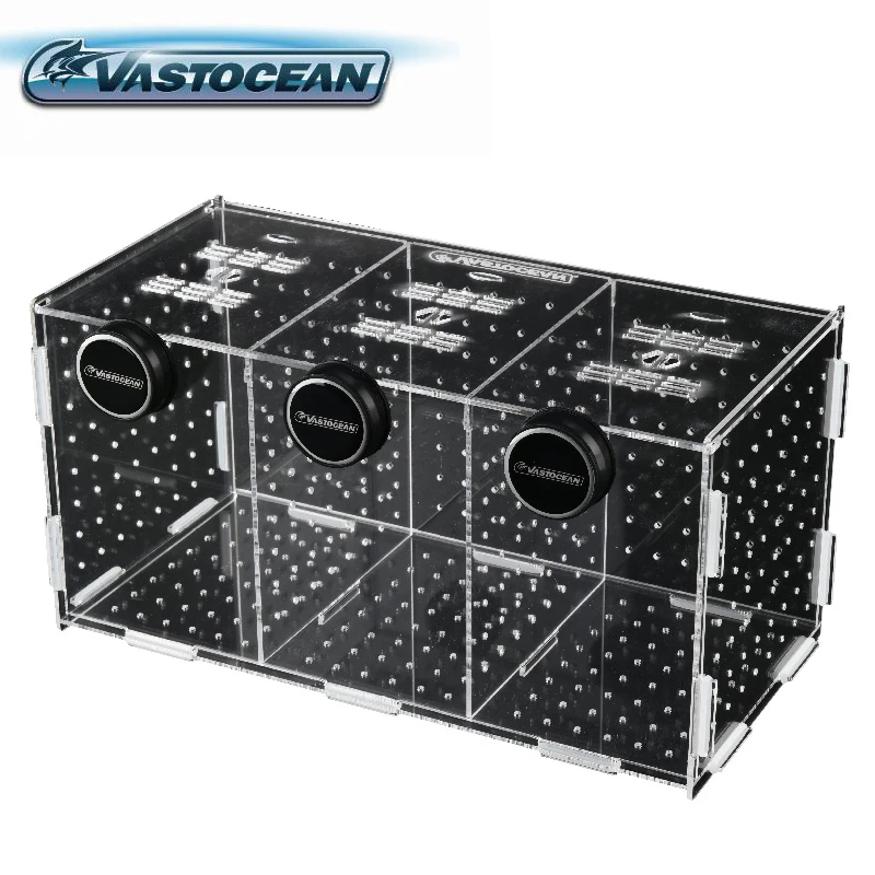 Box Fish In Aquarium - VASTOCEAN Aquarium Magnetische Kombinierte Acryl Schlüpfen