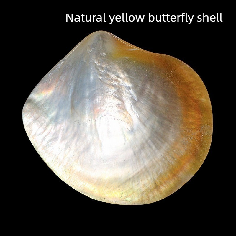 Aquarium Fish Yellow - Natürliche Gelbe Schmetterlings-Beibei-Muschel-Kollektion für Aquarien, Fischbecken-Landschaftsgestaltung,