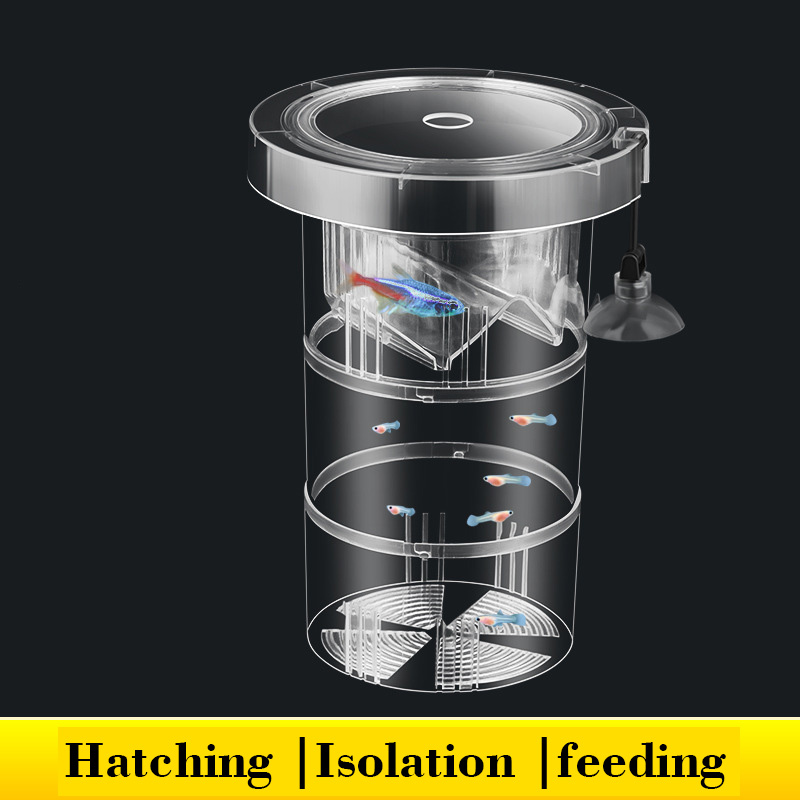 Box Fish In Aquarium - Schwimmende Fische Zucht Isolation Box für