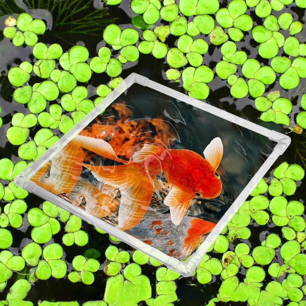 Aquarium Fish Zone - Aquarium-Schwimmpflanzen-Korral für Acryl-Aquarien und Außenteiche zur