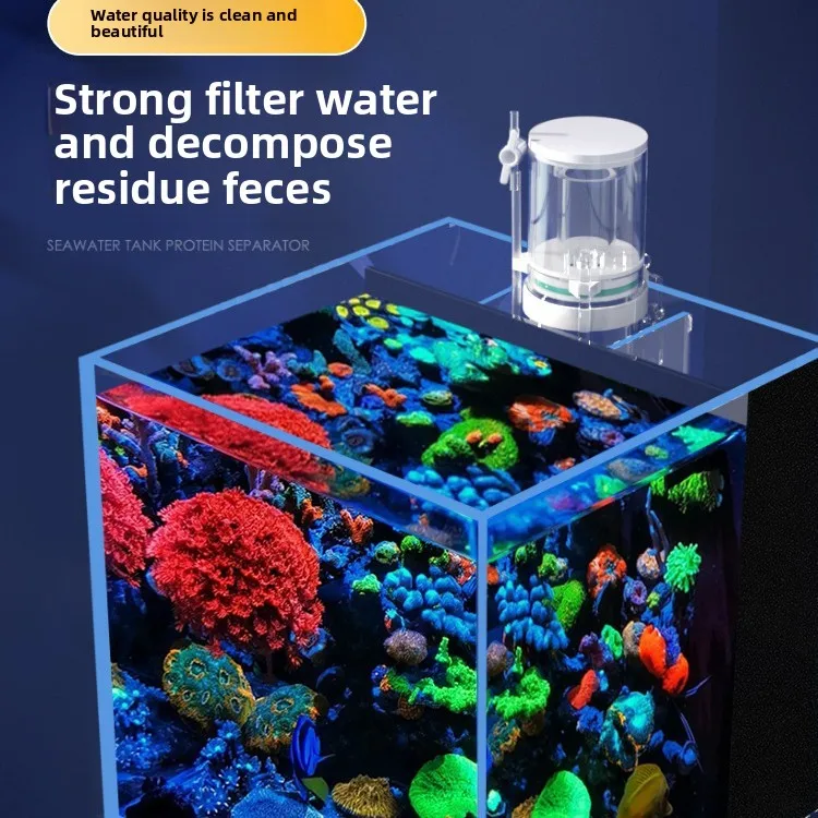 Aquarium Fish For Beginners - 110V-240V Neuer Mini-Aquarium-Proteinabscheider Meerwasser-Korallenfilter Fischbecken Eingebauter