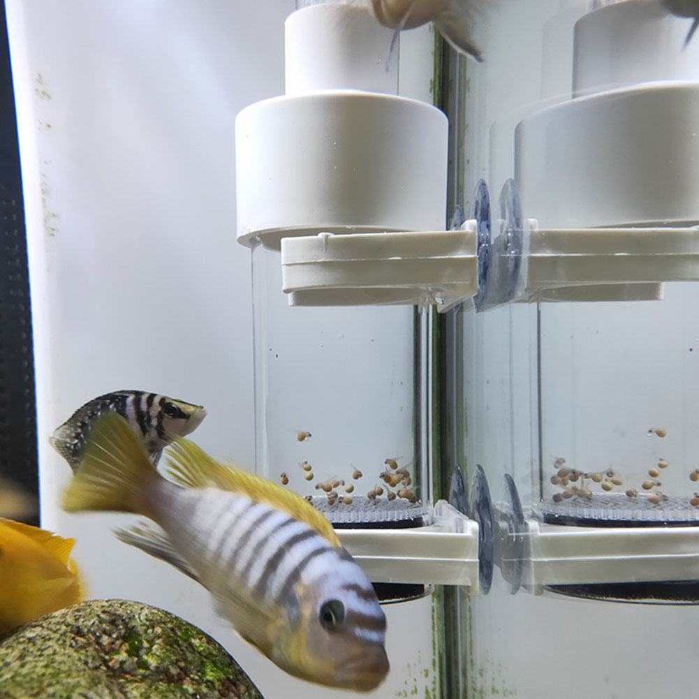Aquarium Fish Eggs - 40mm Aquarium Ziklidenaufzucht-Eier Inkubator für Mundbrut
