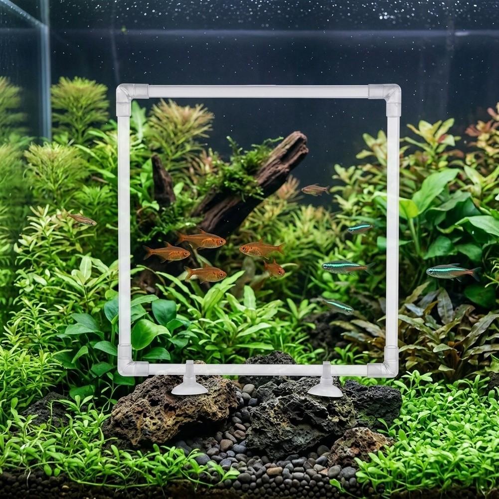Aquarium Fish Zone - Aquarium-Schwimmpflanzen-Korral für Acryl-Aquarien und Außenteiche zur
