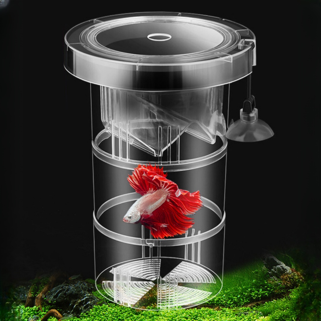 Box Fish In Aquarium - Acryl Schwimmende Fische Zucht Isolation Box