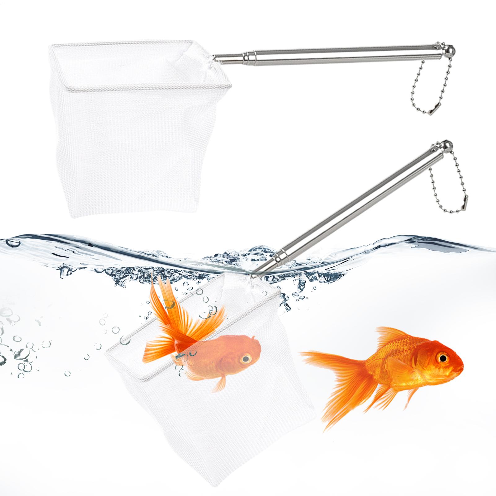 Fish Net Handle - 2er-Set kleiner Fischkescher mit Teleskopgriff aus