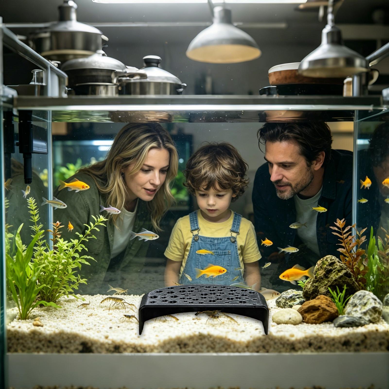 Aquatisches Haustier-Ruheornam – Aquarium Fish Zone Bewertung und Preis
