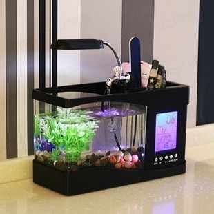 Mini Kleines Aquarium Kreative – Aquarium Fish Logo Bewertung und Preis