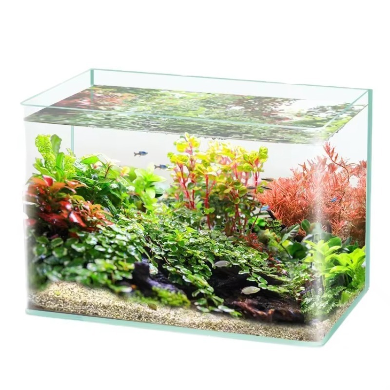 Box-Verpackung, Desktop-Aquari – Box Fish In Aquarium Bewertung und Preis