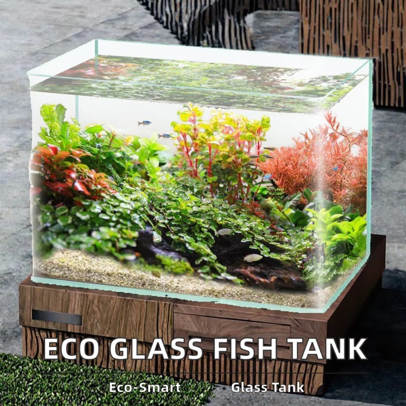 Box-Verpackung, Desktop-Aquari – Box Fish In Aquarium Bewertung und Preis