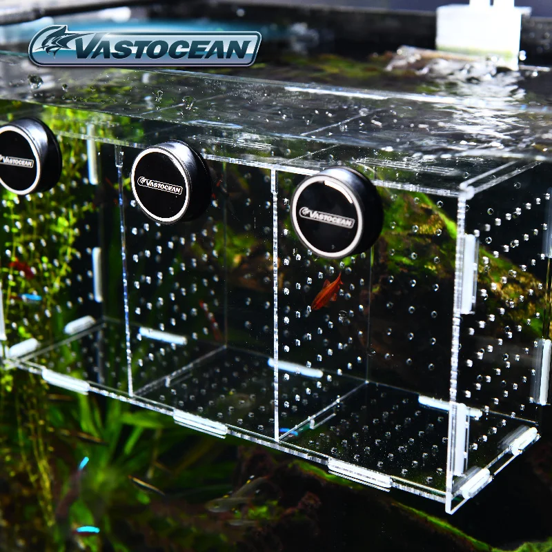 VASTOCEAN Aquarium Magnetische – Box Fish In Aquarium Bewertung und Preis