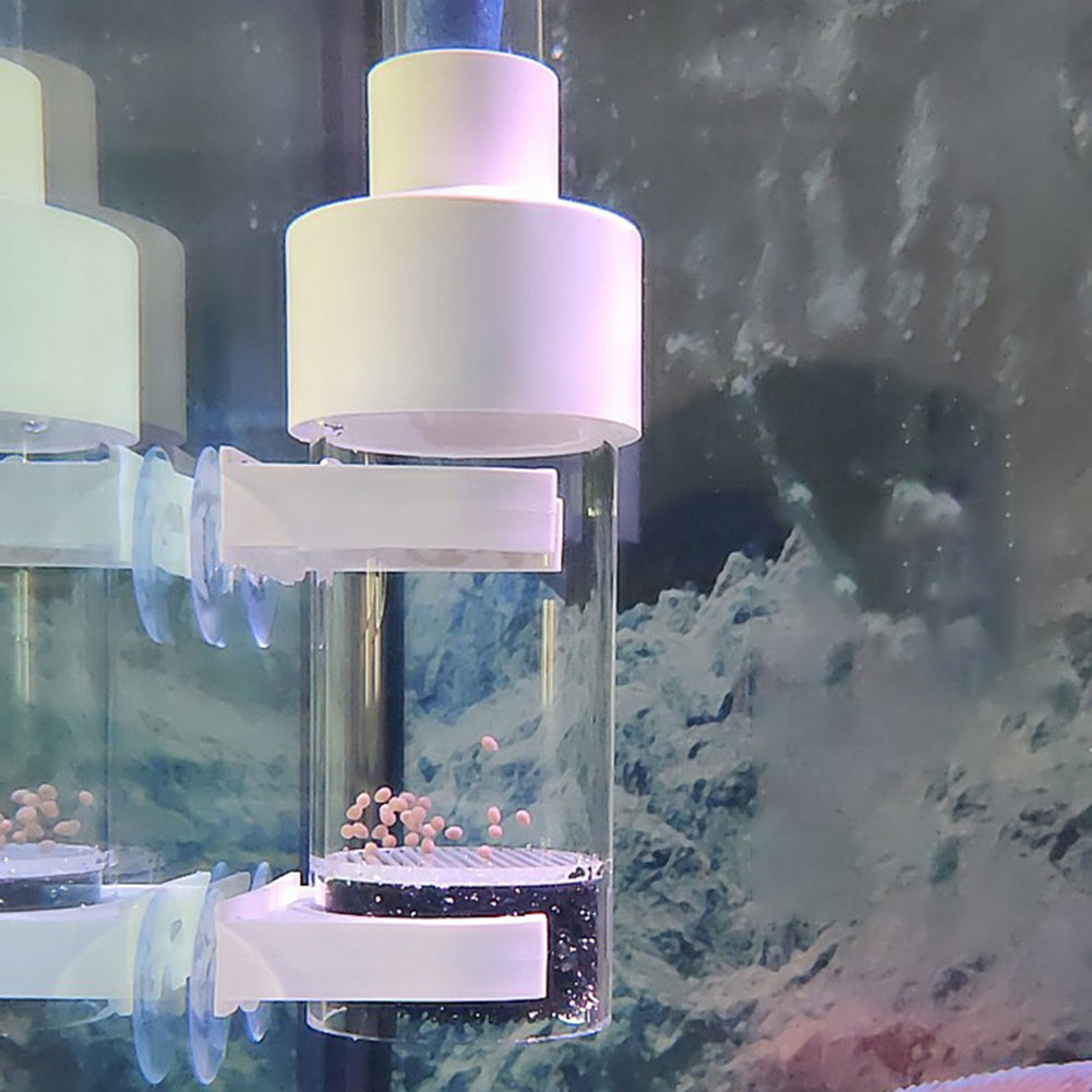 40mm Tumbler Inkubator Fisch B – Aquarium Fish Eggs Bewertung und Preis