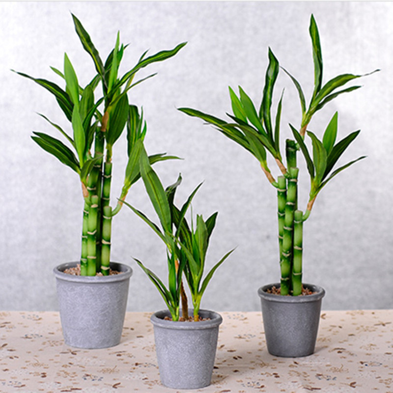 Neue 40 cm rFtificial Lucky Ba – Aquarium Fish Gallery Bewertung und Preis