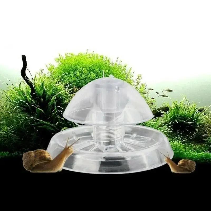 2026 Neu 6/8CM Klare Plastik-S – Box Fish In Aquarium Bewertung und Preis