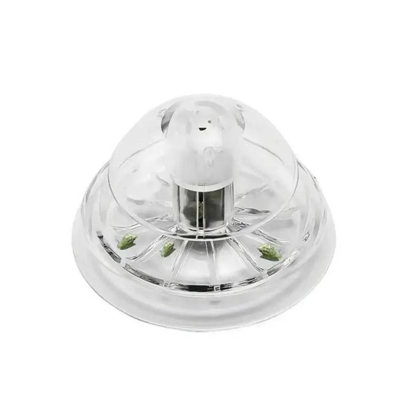 2026 Neu 6/8CM Klare Plastik-S – Box Fish In Aquarium Bewertung und Preis