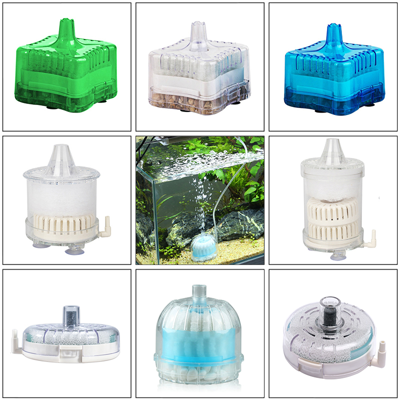 Mini Aquarium Spong Filter Luf – Box Fish In Aquarium Bewertung und Preis
