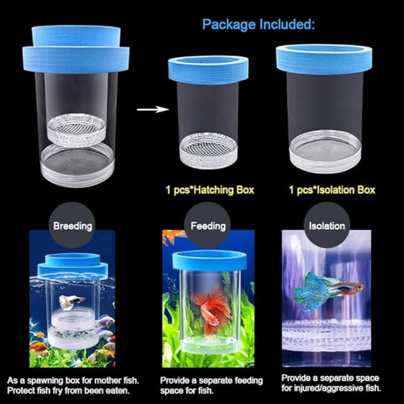 Schwimmende Fische Zucht Isola – Box Fish In Aquarium Bewertung und Preis