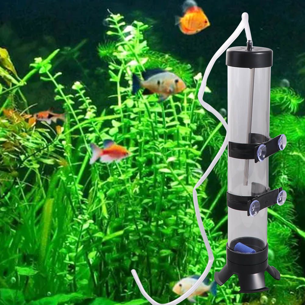 Kunststoff Artemia-Eier-Inkuba – Aquarium Fish Eggs Bewertung und Preis