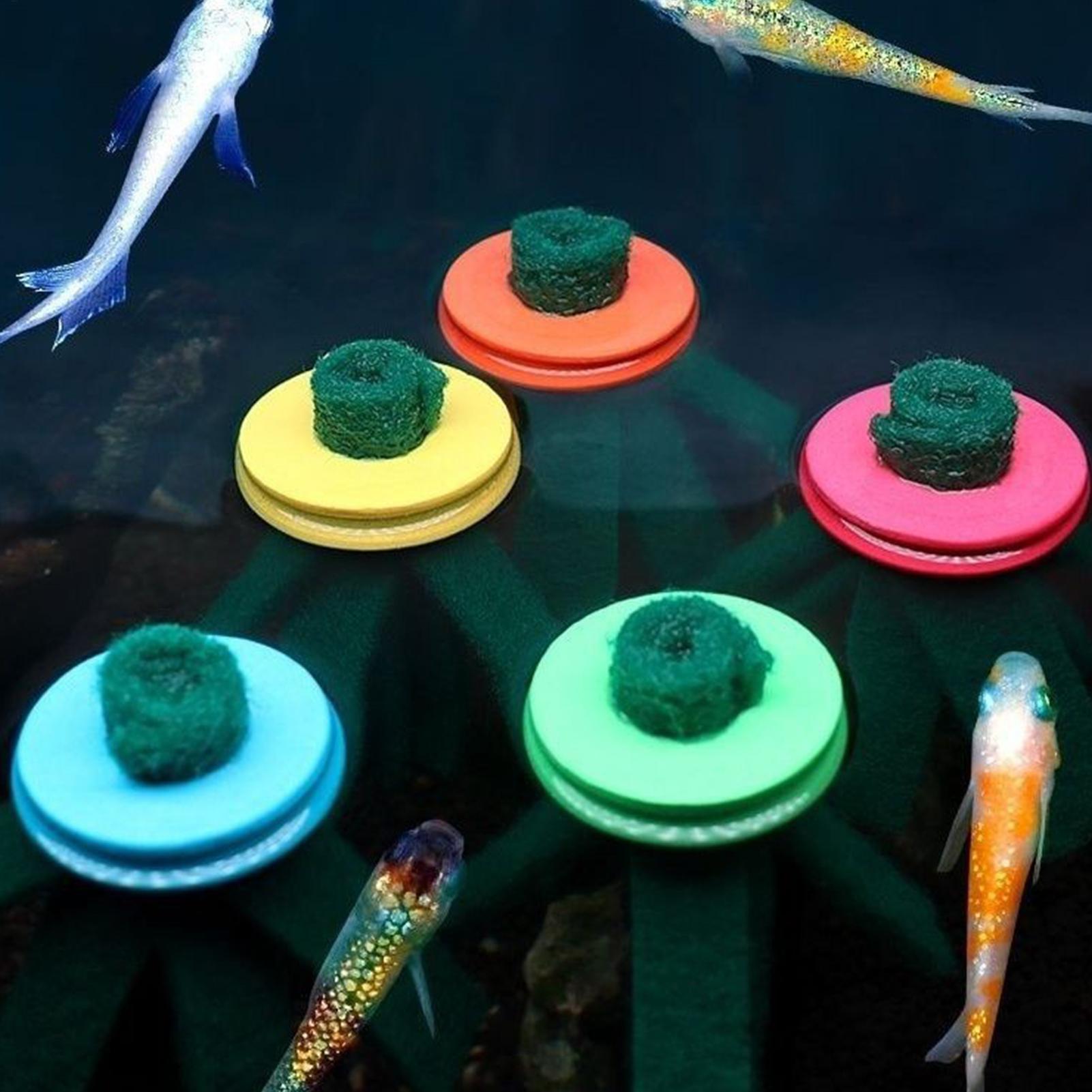10 Stück Aquarium-Legenetz, de – Aquarium Fish Eggs Bewertung und Preis