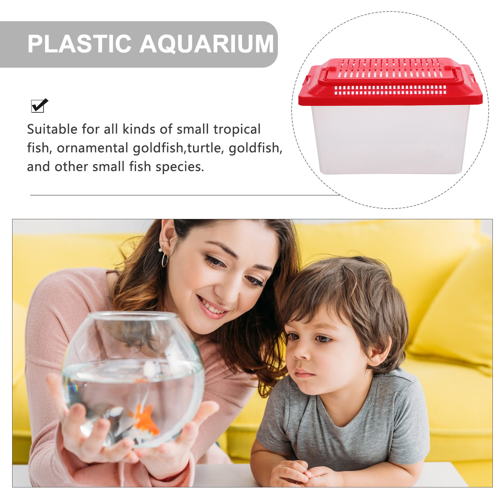 Tragbarer Transparenter Fisch- – Box Fish In Aquarium Bewertung und Preis