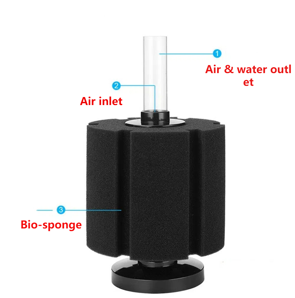 Aquarium Filter Schwamm Für Aq – Aquarium Fish Waste Collector Bewertung und Preis