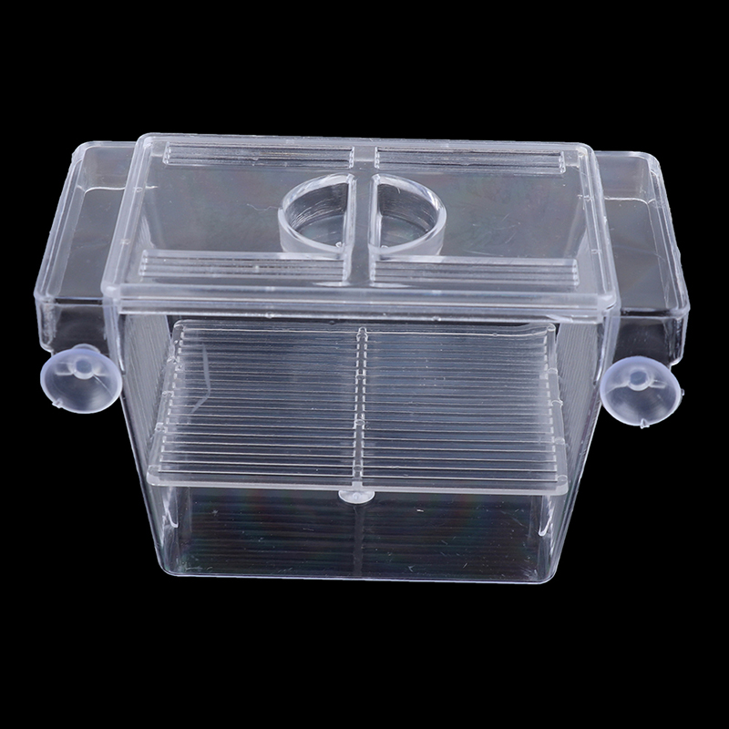 Aquarium Aquarium Guppy Doppel – Aquarium Fish Eggs Bewertung und Preis