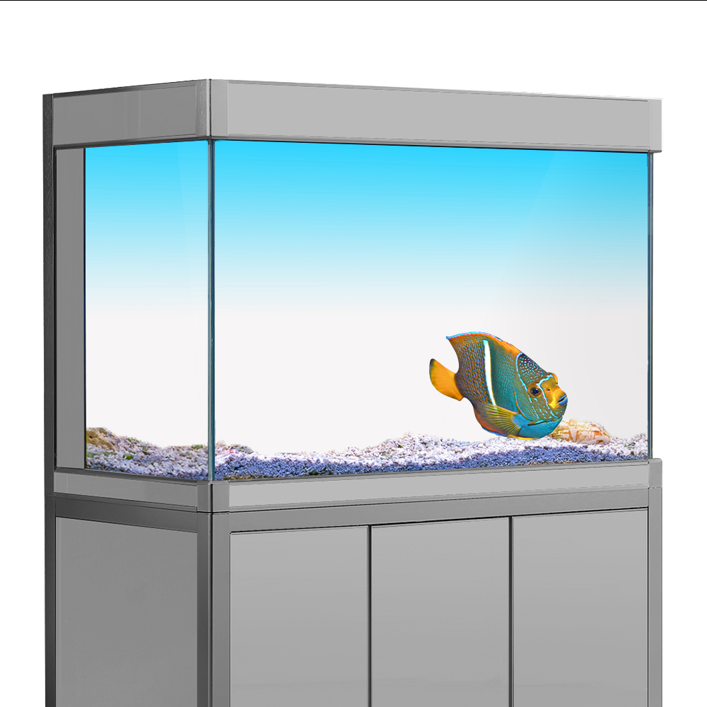 Aquarium Hintergrund Aufkleber – Aquarium Fish Yellow Bewertung und Preis