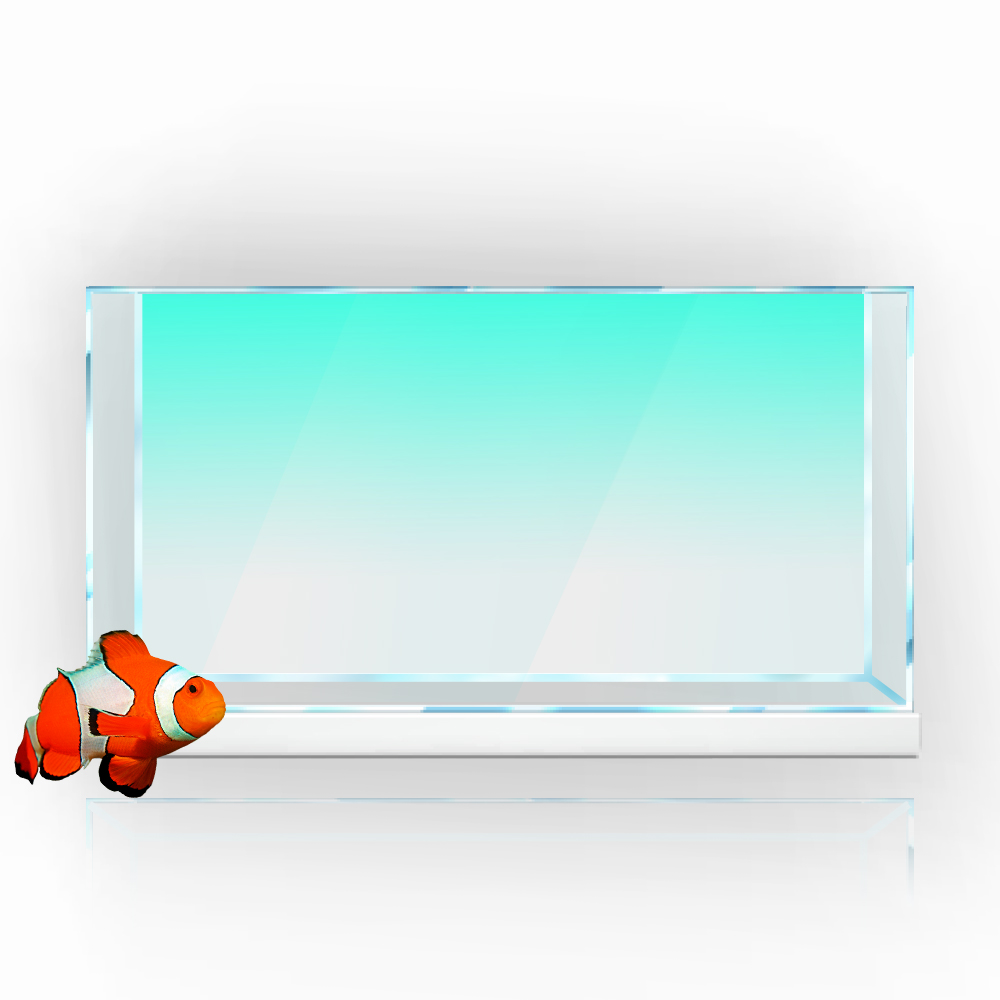 Aquarium Hintergrund Aufkleber – Aquarium Fish Yellow Bewertung und Preis