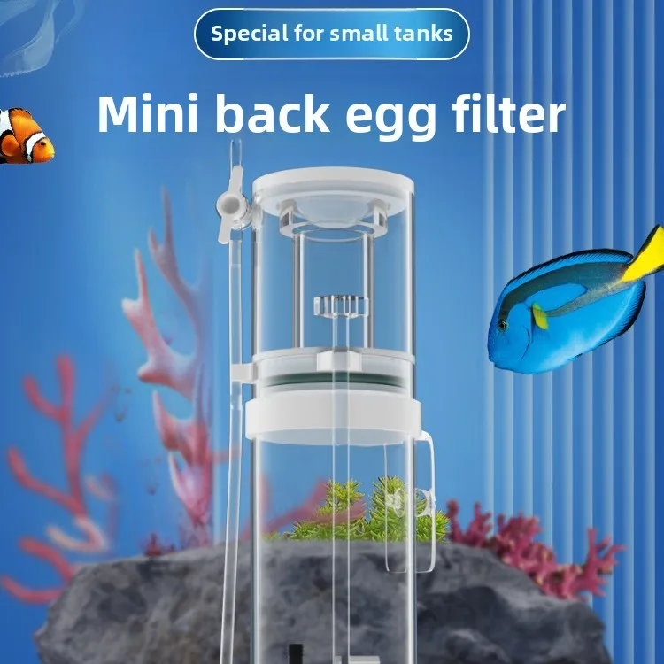 110V-240V Neuer Mini-Aquarium- – Aquarium Fish For Beginners Bewertung und Preis