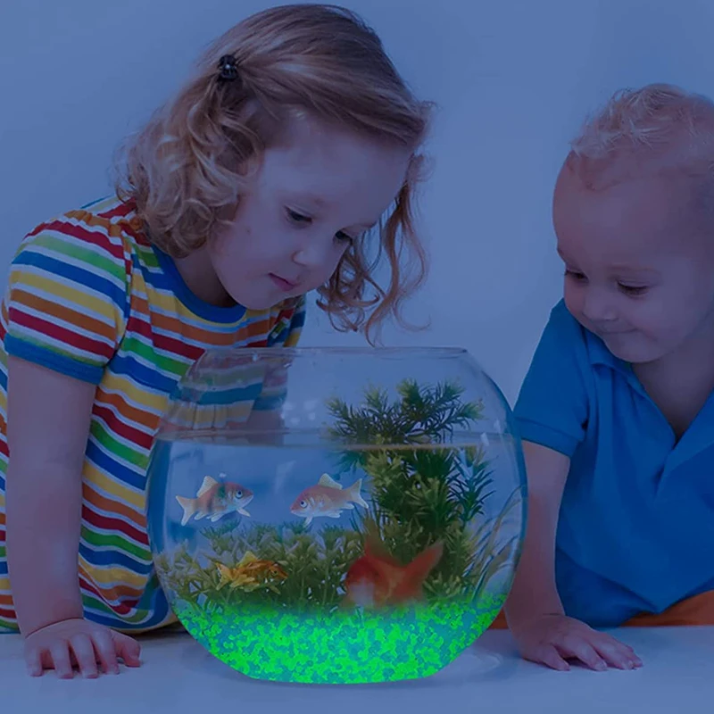 1000 Stück 3–5 mm leuchtender  – Aquarium Fish Gallery Bewertung und Preis