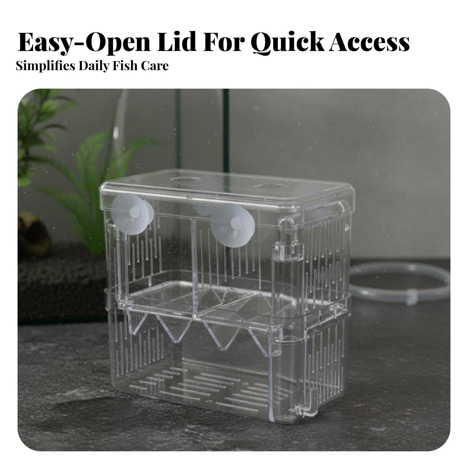Doppelschichtiger Aquarium-Zuc – Box Fish In Aquarium Bewertung und Preis