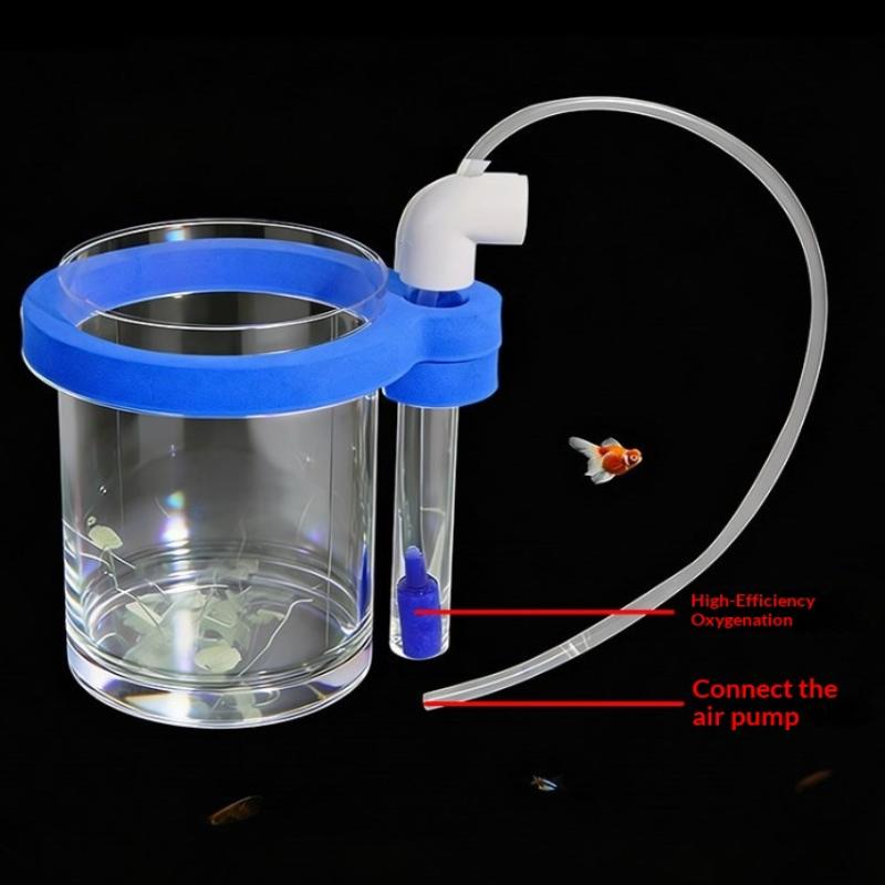 Transparente Acryl-Fischzuchtb – Box Fish In Aquarium Bewertung und Preis