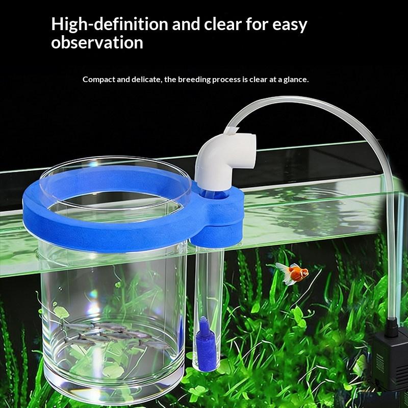 Transparente Acryl-Fischzuchtb – Box Fish In Aquarium Bewertung und Preis