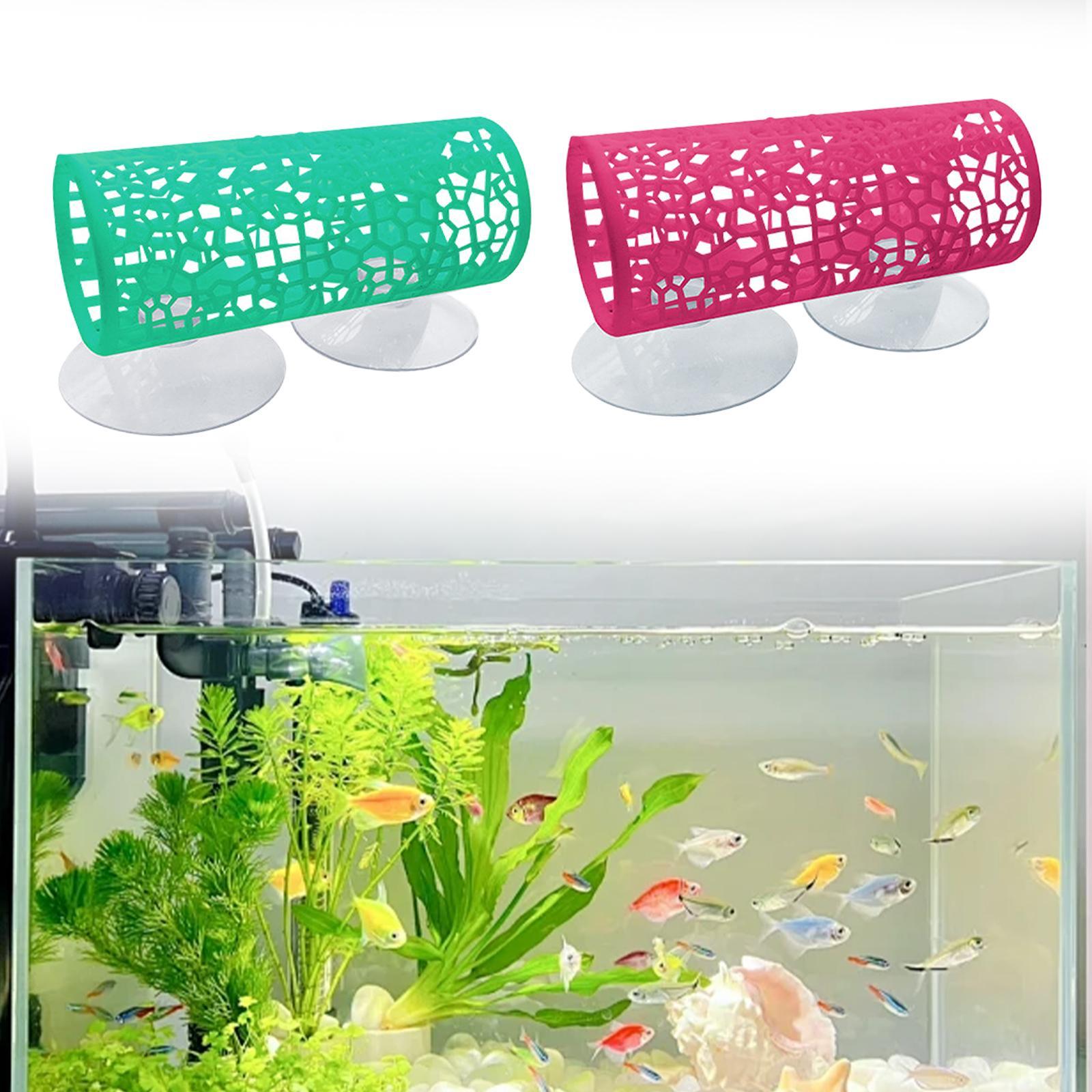 Betta-Tunnel - Versteck, Betta – Aquarium Fisch Bewertung und Preis
