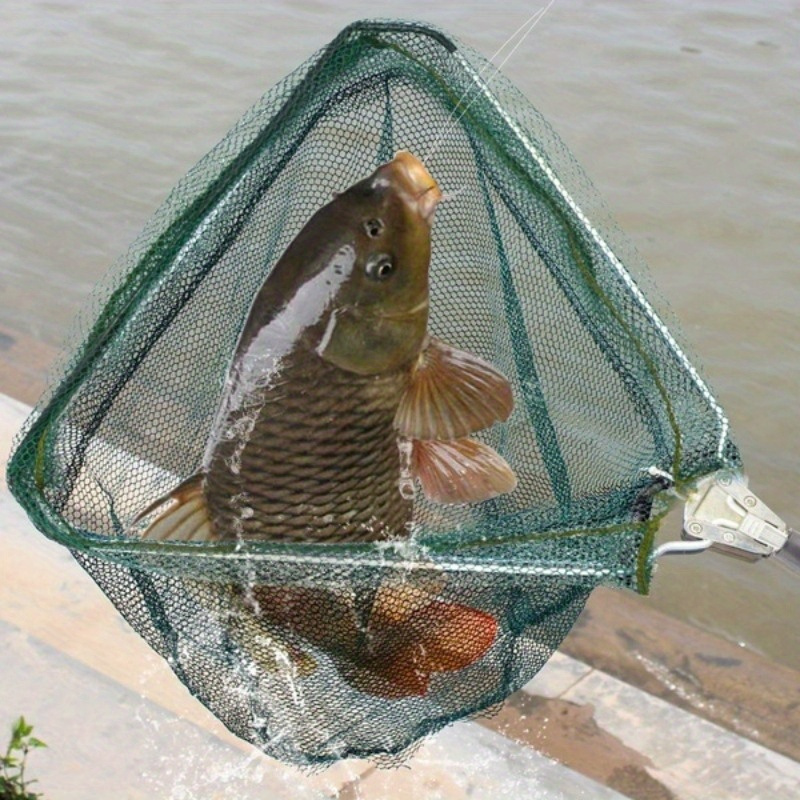 Faltbares Dreieck-Fischkescher – Fish Net Handle Bewertung und Preis