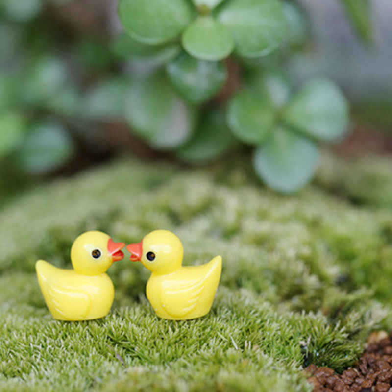 Niedliche Mini-Gelbe-Enten-Sch – Aquarium Fish Yellow Bewertung und Preis
