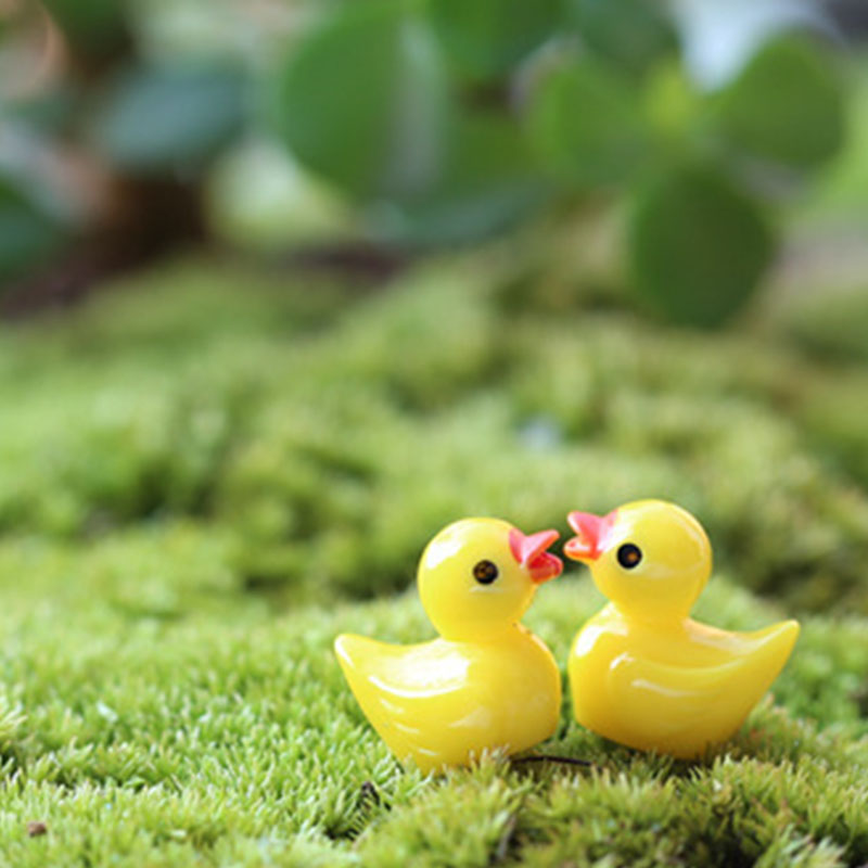 Niedliche Mini-Gelbe-Enten-Sch – Aquarium Fish Yellow Bewertung und Preis