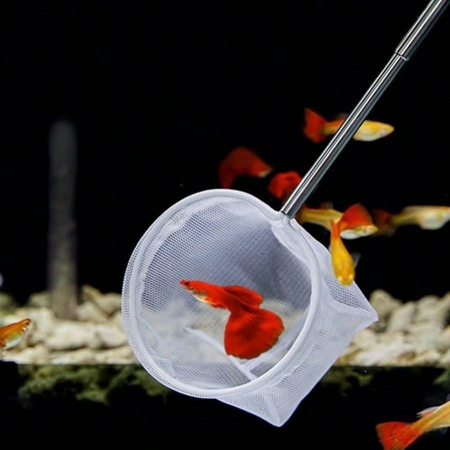 Aquarium-Fischkescher - Ein Ei – Fish Net Handle Bewertung und Preis