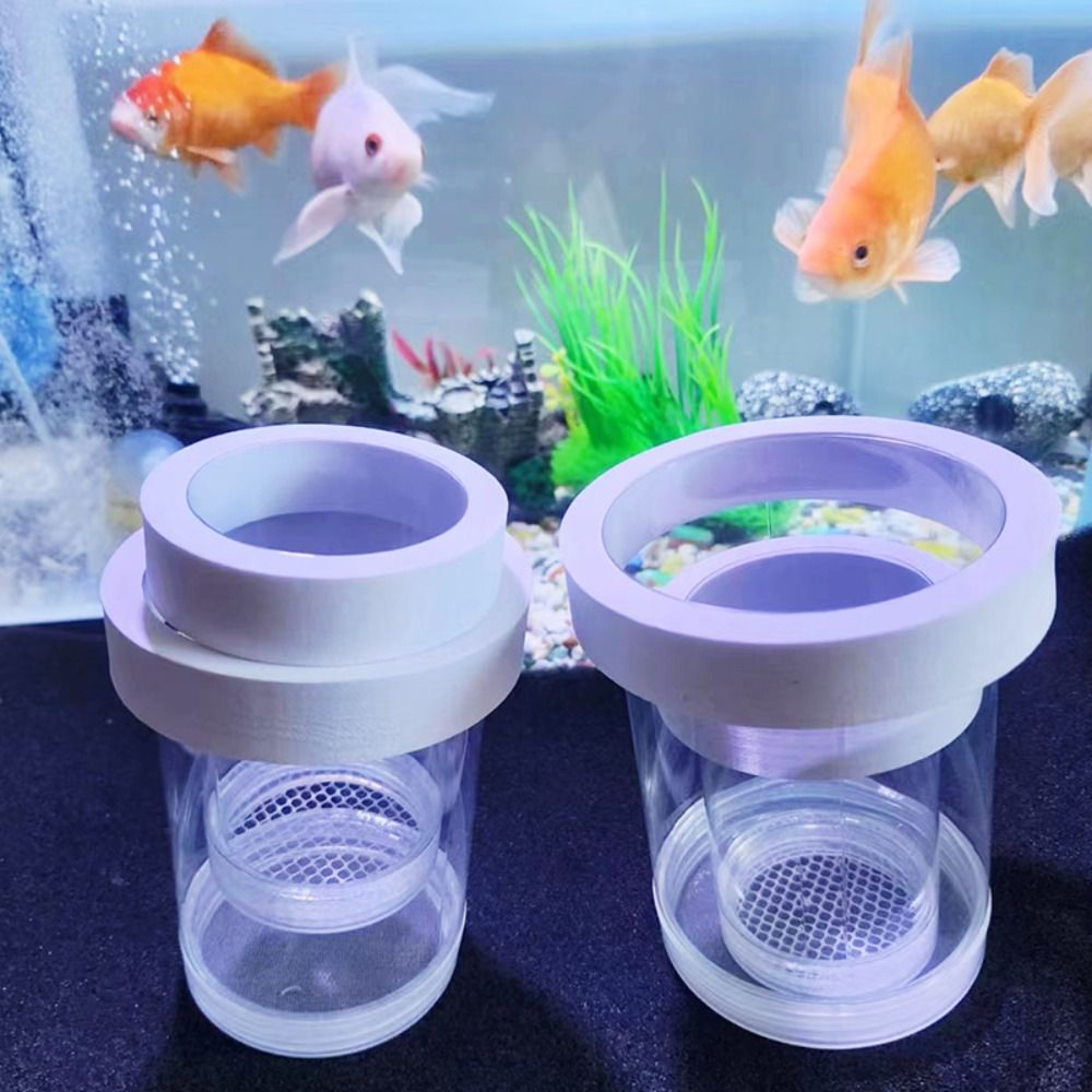 Kunststoff Schwimmende Fische  – Box Fish In Aquarium Bewertung und Preis