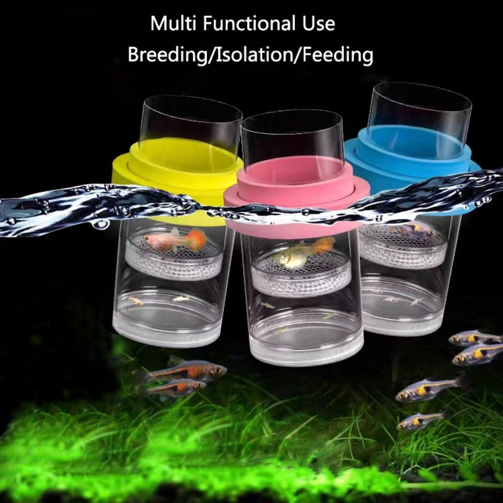 Kunststoff Schwimmende Fische  – Box Fish In Aquarium Bewertung und Preis