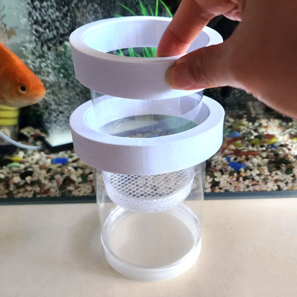 Kunststoff Schwimmende Fische  – Box Fish In Aquarium Bewertung und Preis