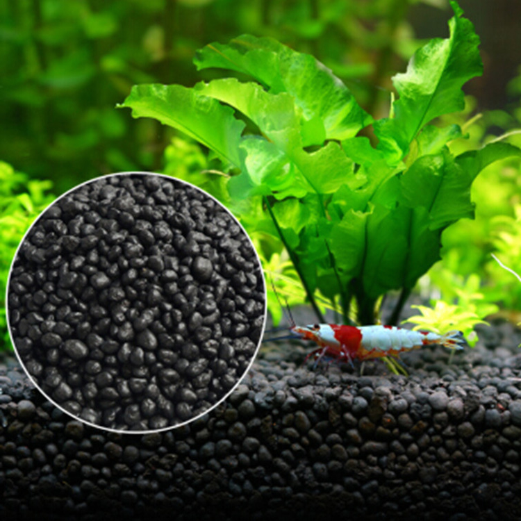 Aquarium Pflanzen Samen Boden  – Aquarium Fish Gallery Bewertung und Preis