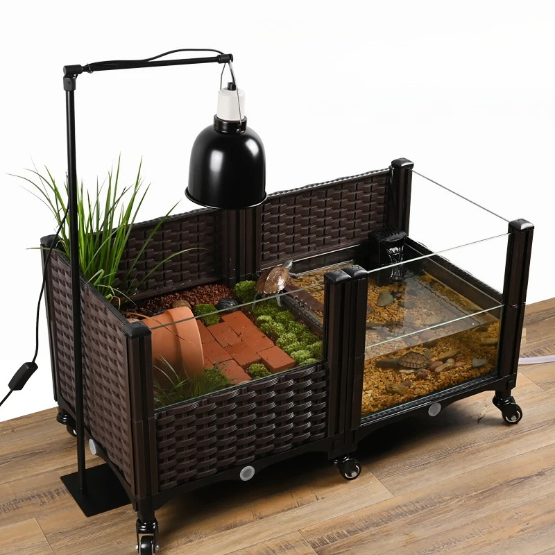 Öko-Schildkrötenpanzer mit Son – Aquarium Fish Yellow Bewertung und Preis