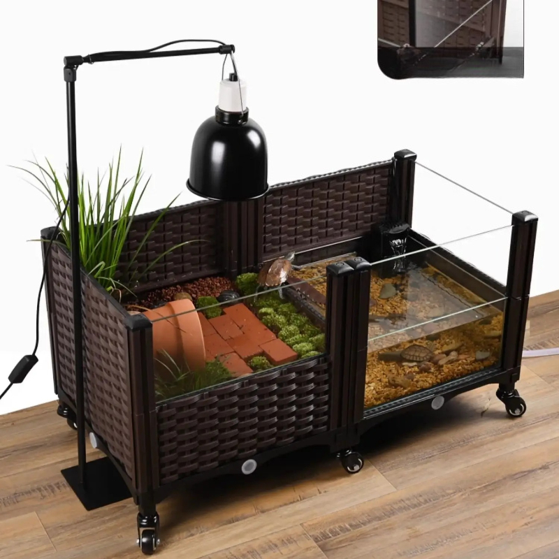 Öko-Schildkrötenpanzer mit Son – Aquarium Fish Yellow Bewertung und Preis