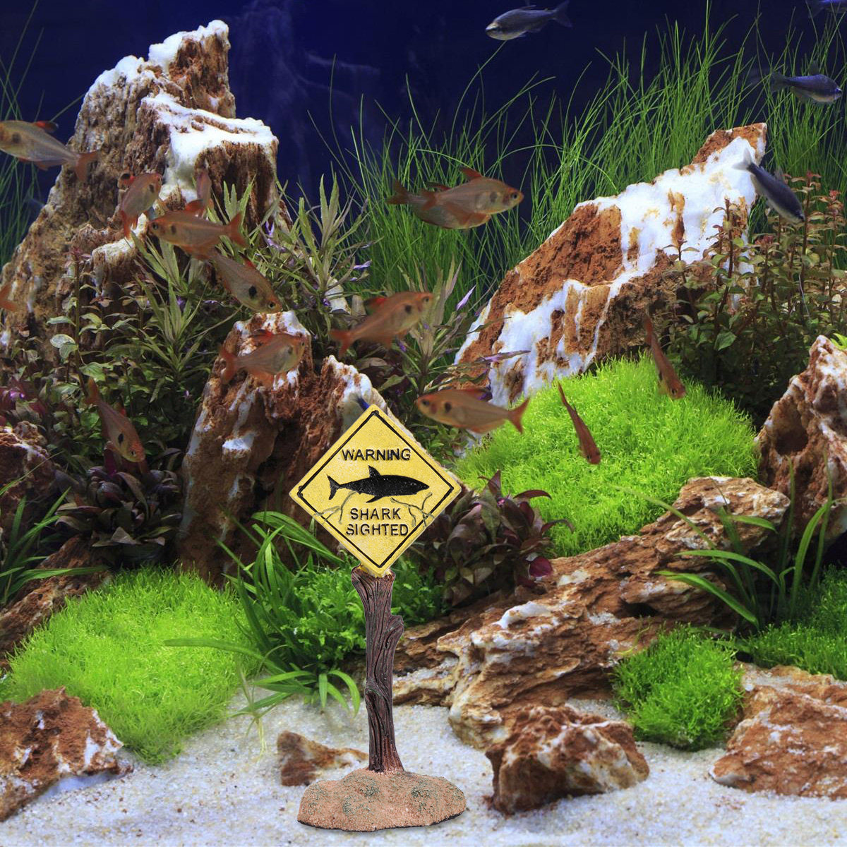 Cartoon-Harz-Warnschild für Aq – Aquarium Fish Yellow Bewertung und Preis