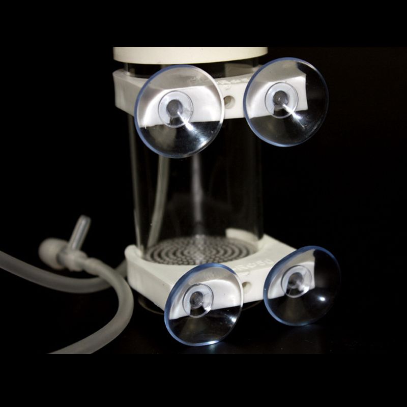 Aquarium Cichliden Brutkasten  – Aquarium Fish Eggs Bewertung und Preis