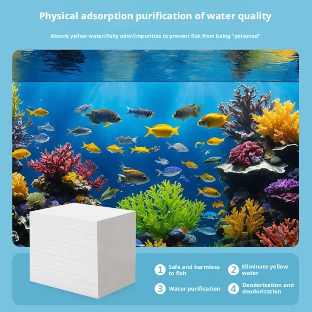 100 Stück effiziente Aquarium- – Aquarium Fish Yellow Bewertung und Preis
