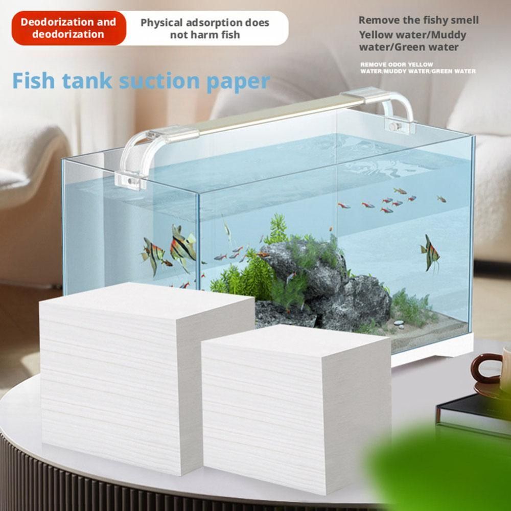 100 Stück effiziente Aquarium- – Aquarium Fish Yellow Bewertung und Preis