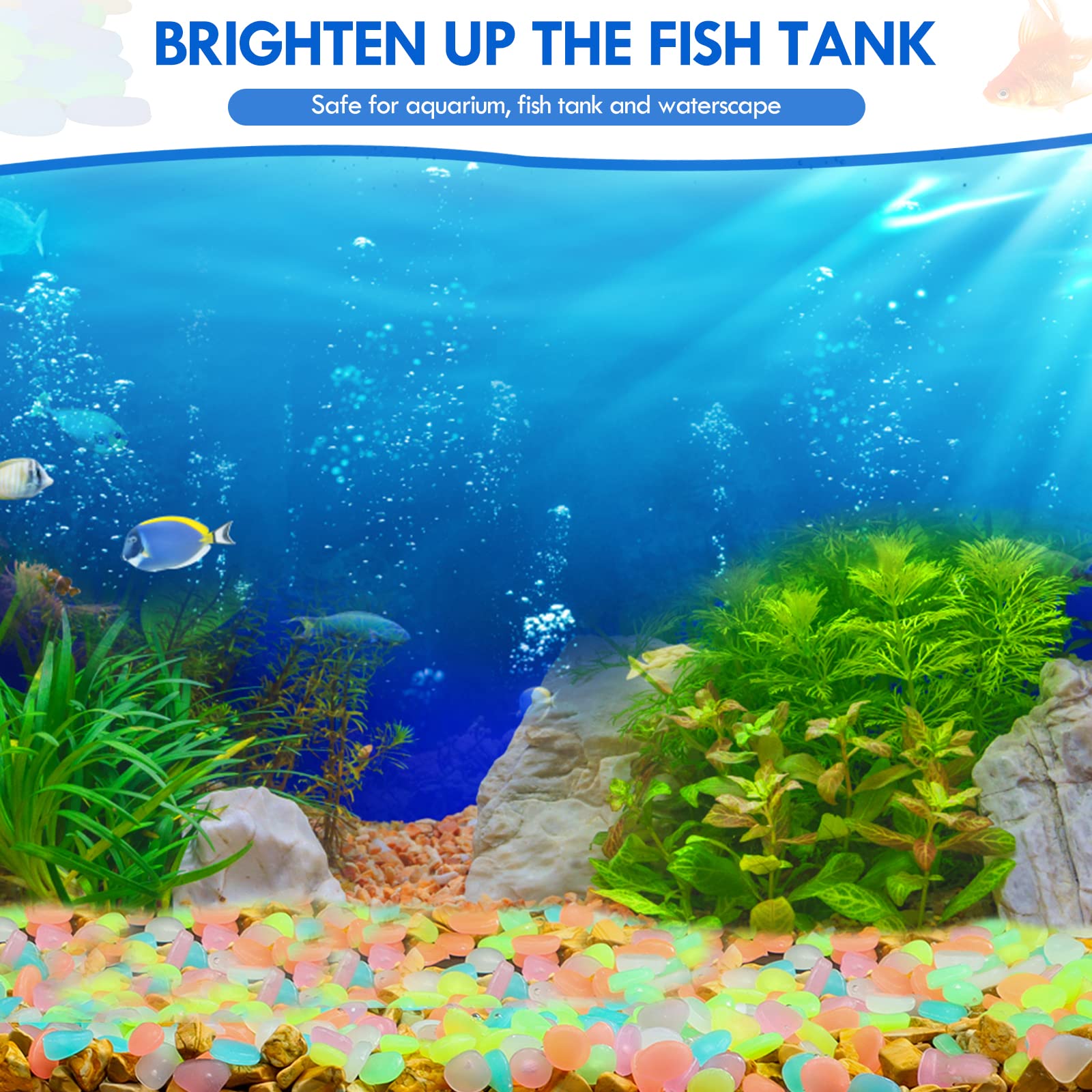 100 Stück im Dunkeln leuchtend – Aquarium Fish Gallery Bewertung und Preis