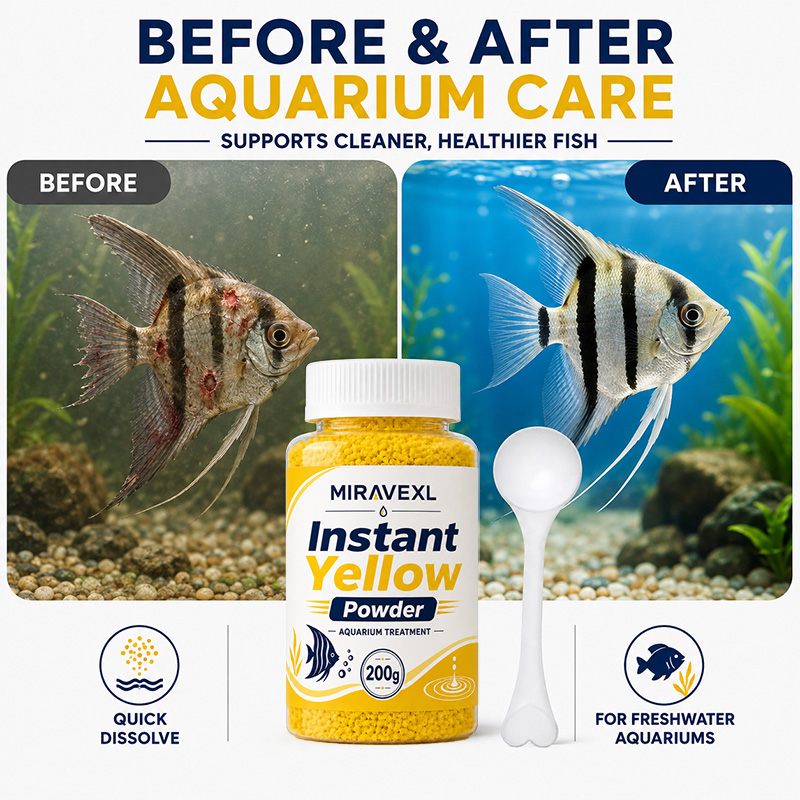 MIRAVEXL Schnell Auflösendes G – Aquarium Fish Yellow Bewertung und Preis