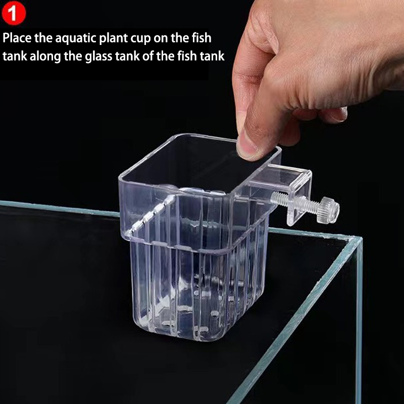 Multifunktion ale Fisch Aquari – Box Fish In Aquarium Bewertung und Preis